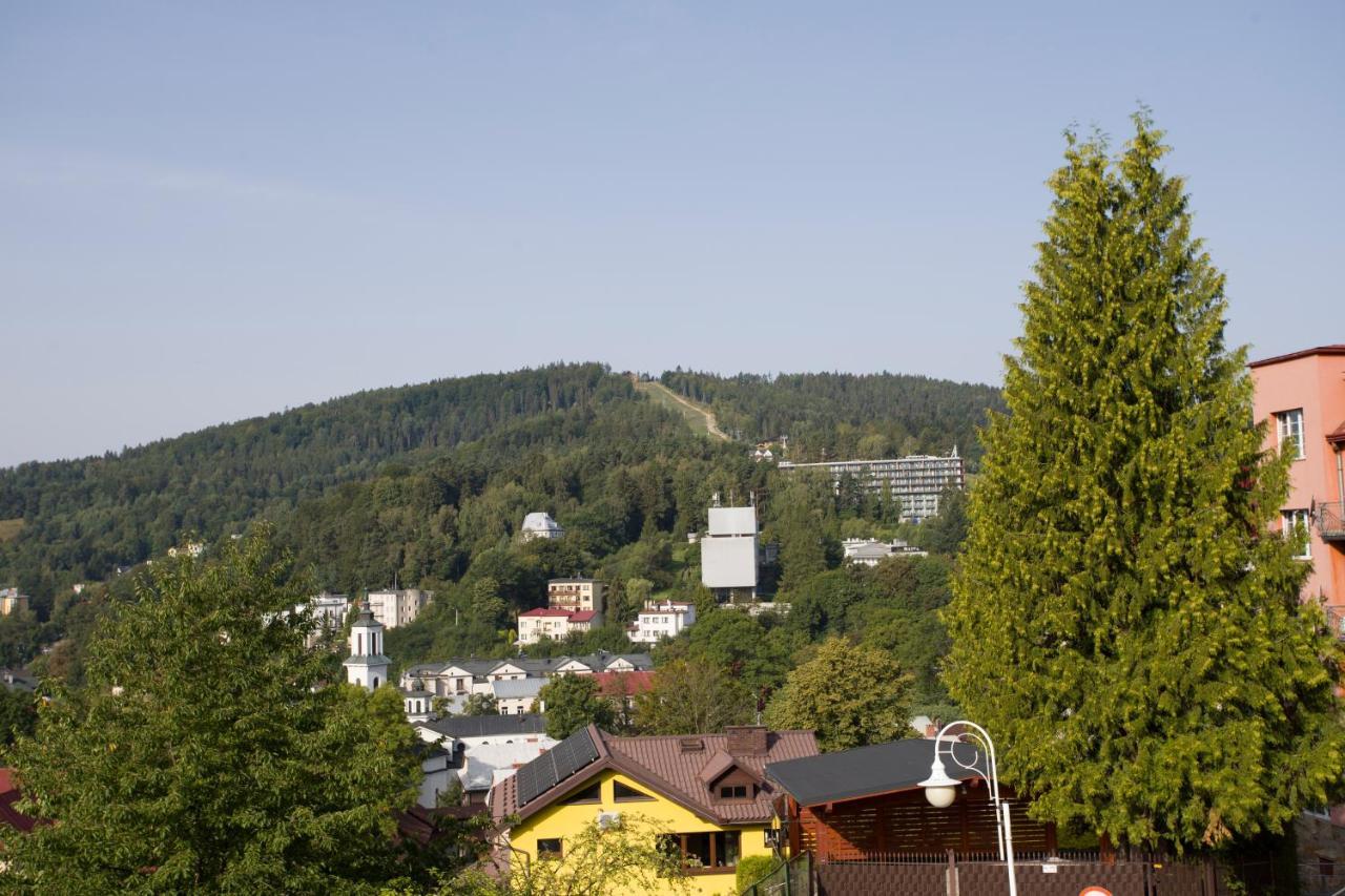 Farys - centrum Krynicy na wzgórzu wśród ciszy ze wspaniałymi tarasami widokowymi, sauna, jacuzii, siłowna, prywatny parking Krynica-Zdrój Exterior foto