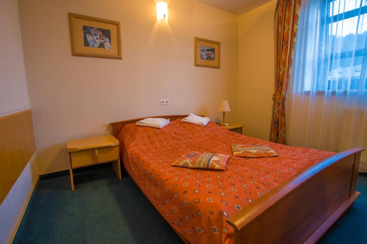 Farys - centrum Krynicy na wzgórzu wśród ciszy ze wspaniałymi tarasami widokowymi, sauna, jacuzii, siłowna, prywatny parking Krynica-Zdrój Exterior foto