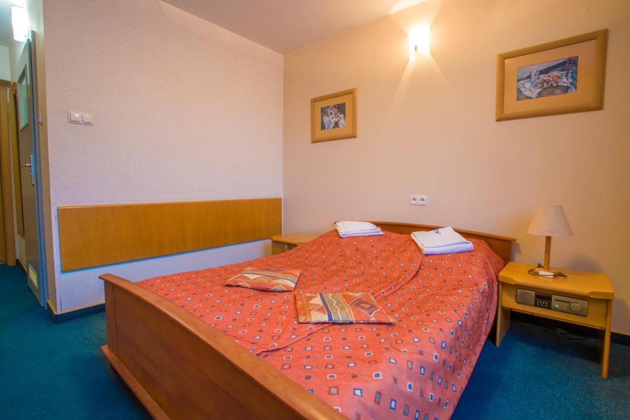 Farys - centrum Krynicy na wzgórzu wśród ciszy ze wspaniałymi tarasami widokowymi, sauna, jacuzii, siłowna, prywatny parking Krynica-Zdrój Exterior foto