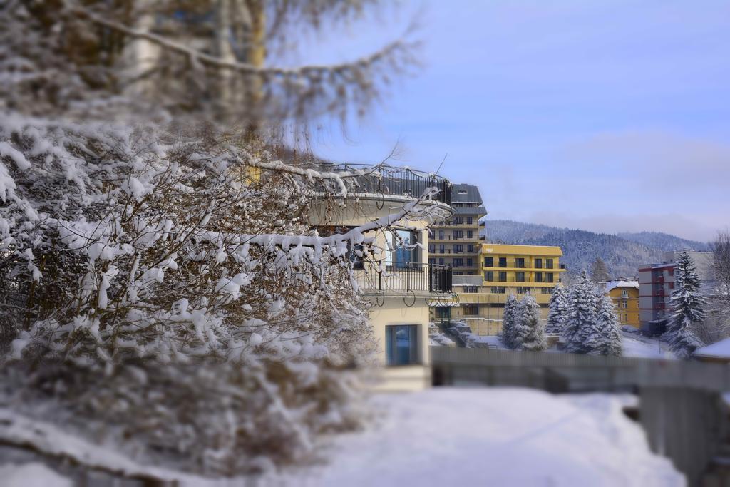 Farys - centrum Krynicy na wzgórzu wśród ciszy ze wspaniałymi tarasami widokowymi, sauna, jacuzii, siłowna, prywatny parking Krynica-Zdrój Exterior foto